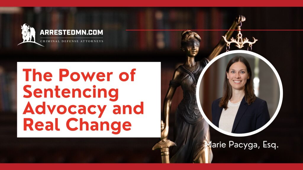 Hero banner with Lady Justice statue, a red line, and a bold white panel reading 'The Power of Sentencing Advocacy and Real Change' alongside a circular portrait of a female attorney.